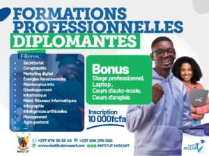Formations-Professionnelles-Diplômantes