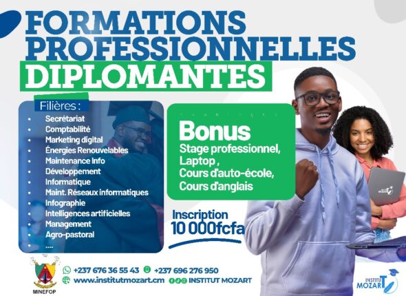 Formations-Professionnelles-Diplômantes